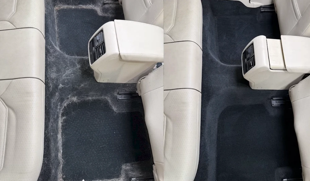Close-up of pet hair removal Medford from a vehicle interior using professional detailing tools and deep cleaning methods
